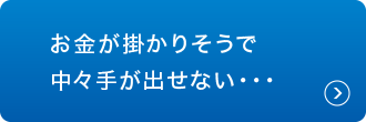 お金が掛かりそうで中々手が出せない…